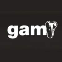 GAM