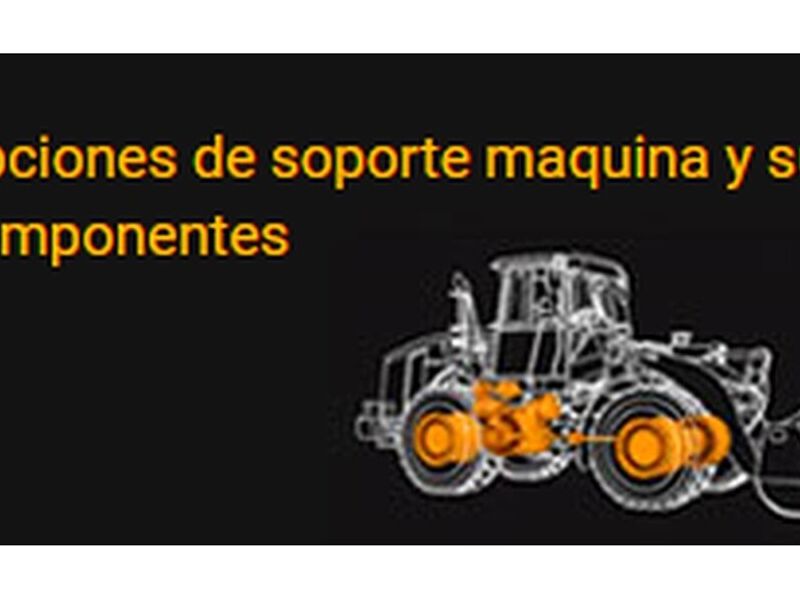 OPCIONES DE REPARACIÓN