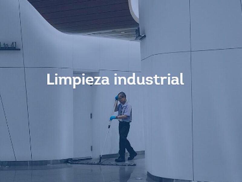 Limpieza industrial Perú