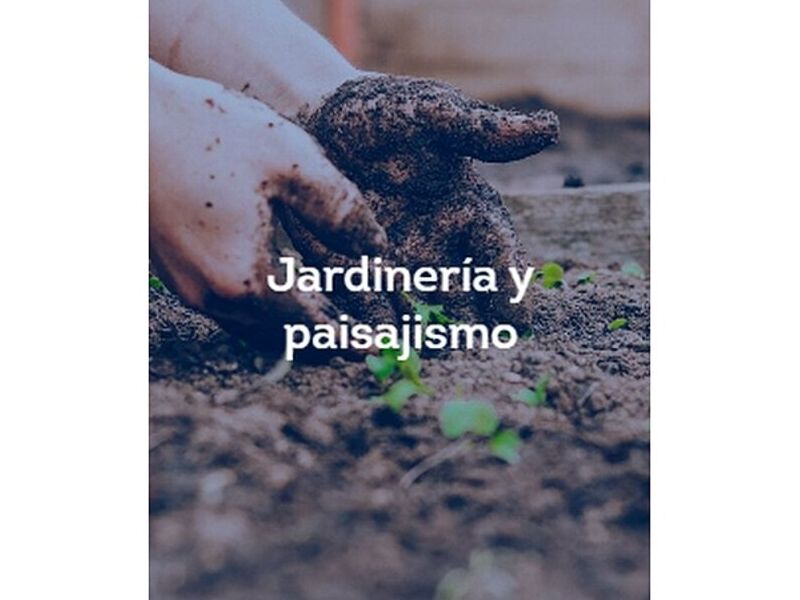 Servicios de jardinería Perú