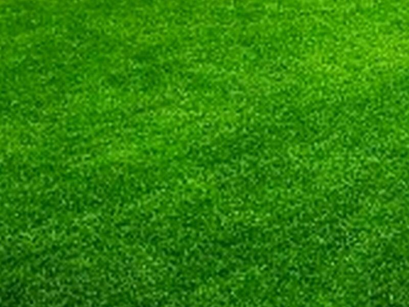 GRASS SINTÉTICO