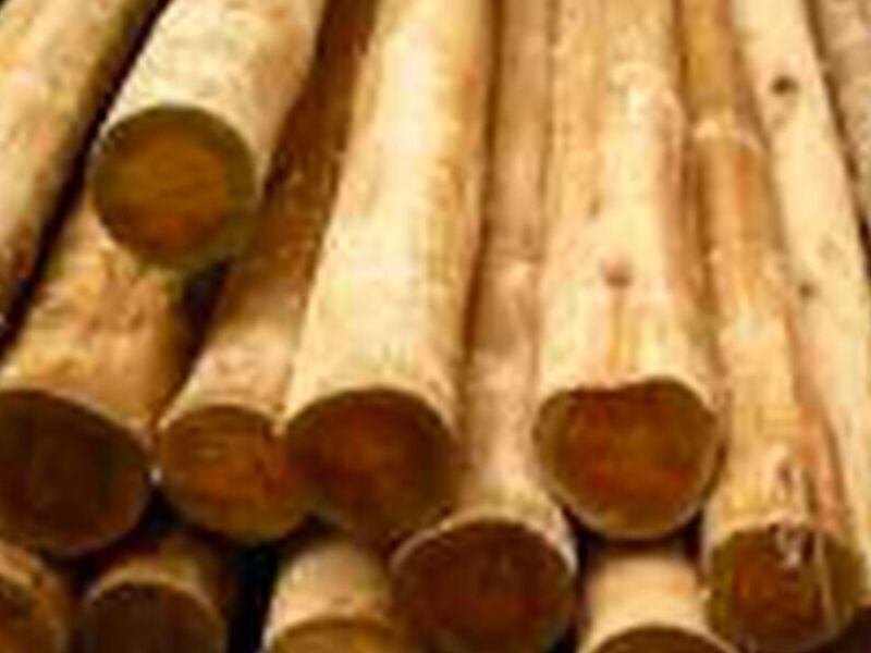 Madera eucalipto Perú
