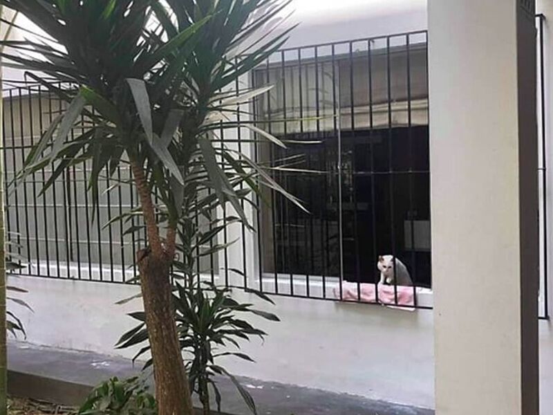 Inmobiliaria con un piso Peru