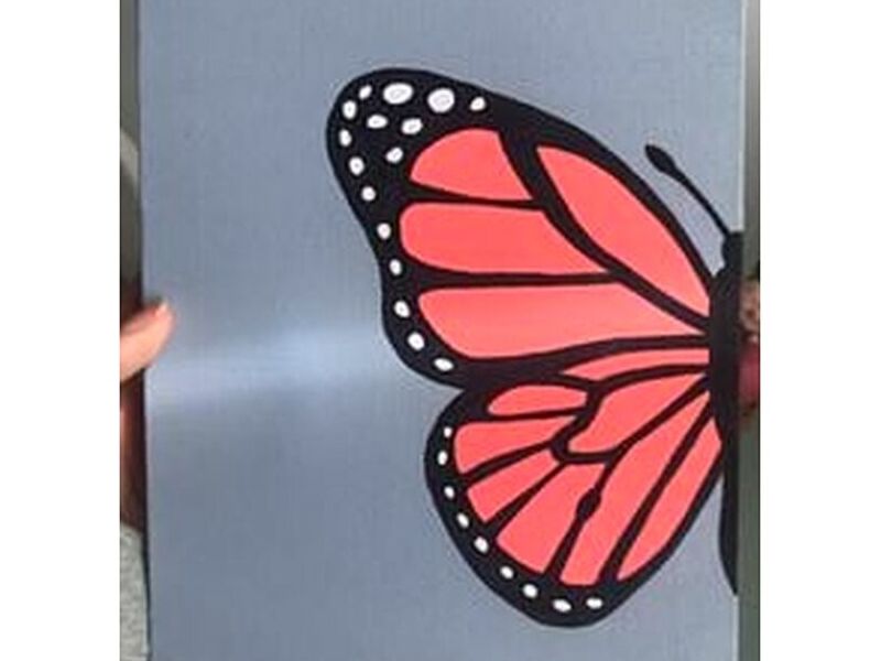 Cuadro Decorativo Mariposa Perú
