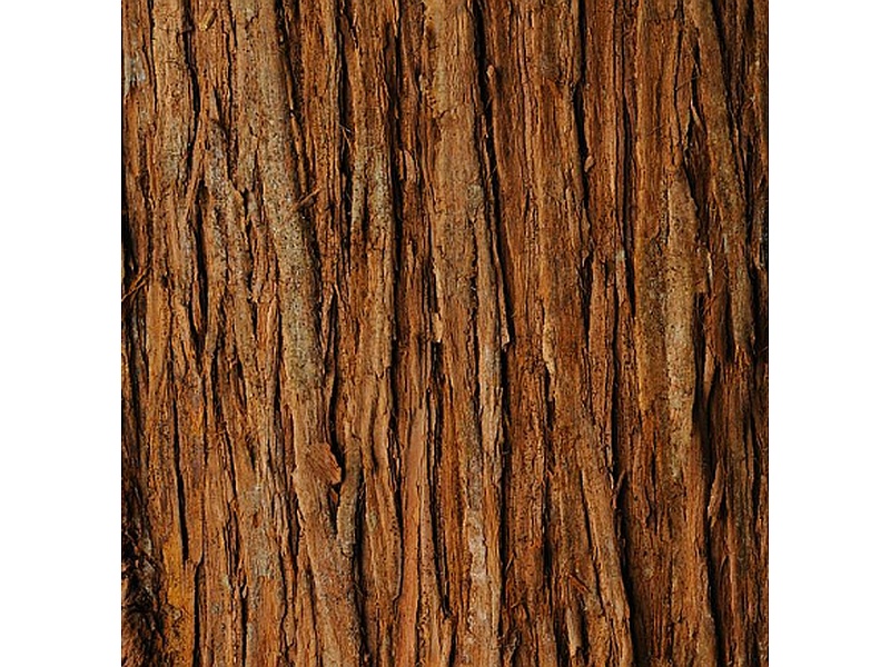 Madera cedro Perú