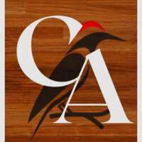Corporacion Arenas