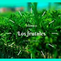 Vivero Los Frutales