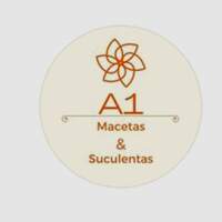 A1 Macetas & Suculentas