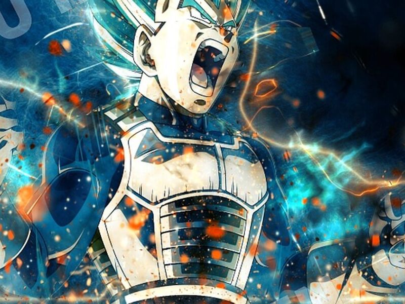 Cuadro Decorativo Vegeta Perú