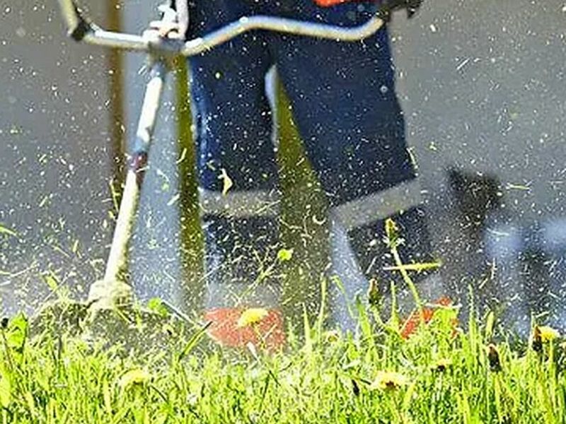 Motoguadaña para jardinería - Perú 