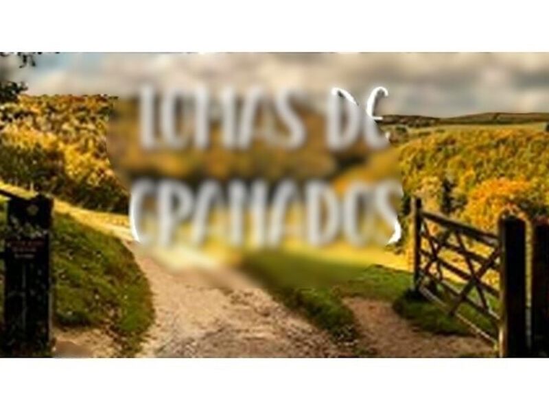 Inmobiliaria Lomas de granado Peru
