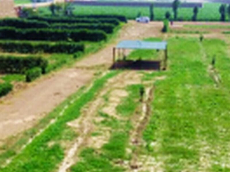 Inmobiliaria Lotes de Campo Peru