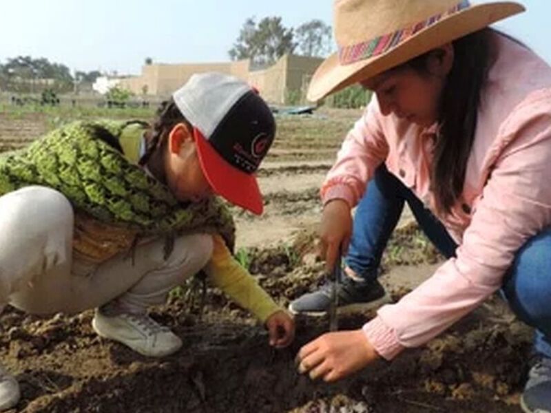 Decoración de Jardines PERU