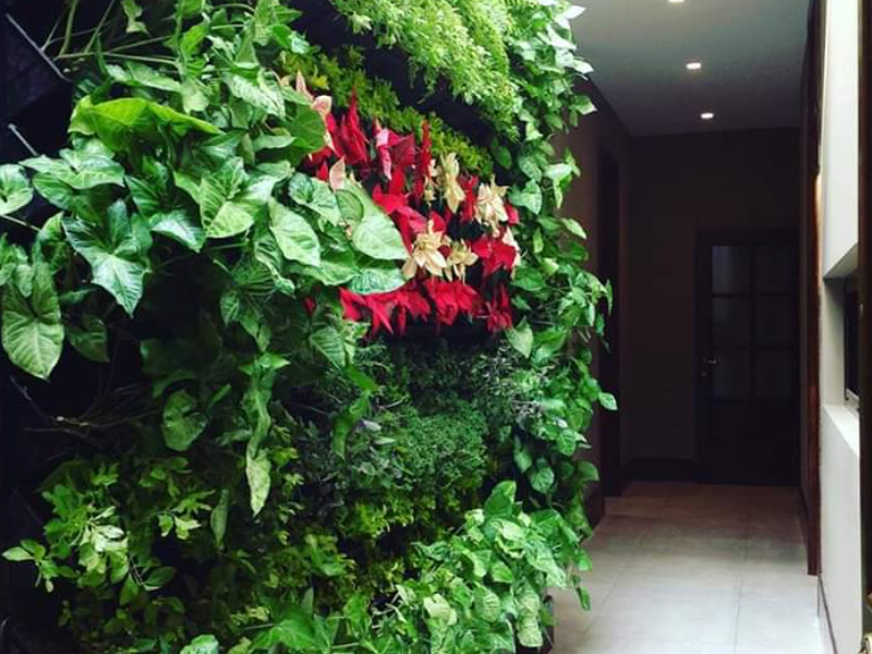 Plantas Artificiales Peru