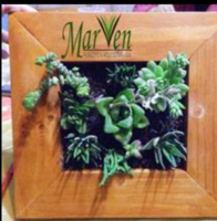 MarVen Paisajismo