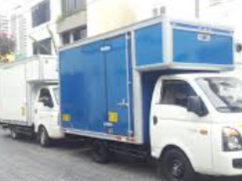 Mudanzas Camión de Caja Cerrada Peru