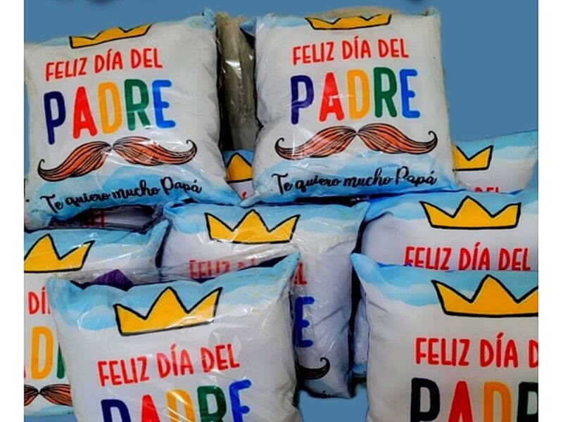 Cojin dia del Padre Peru