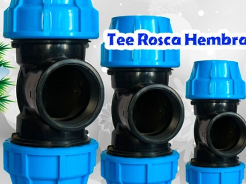 Tee Rosca Hembra Perú