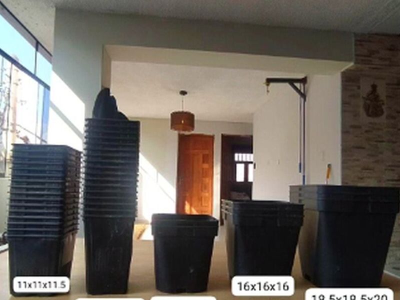 Maceta Negra Perú