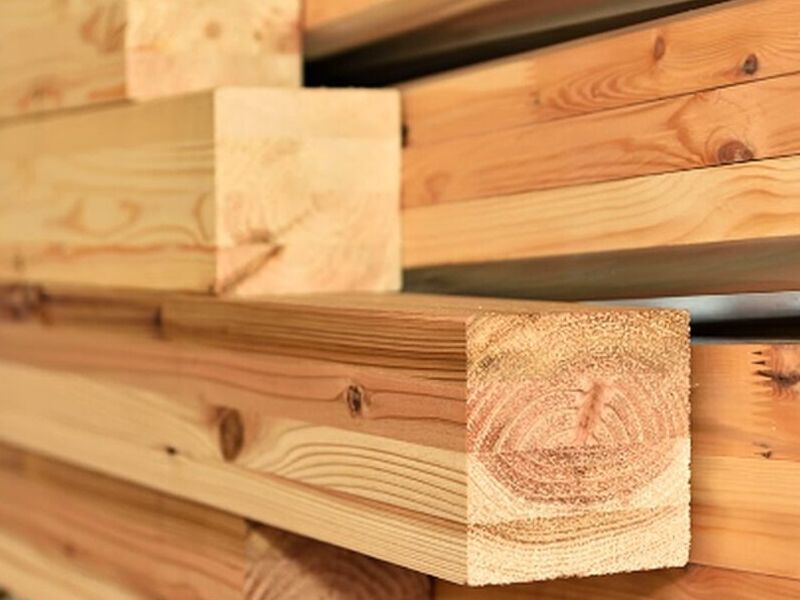 Madera haya Perú