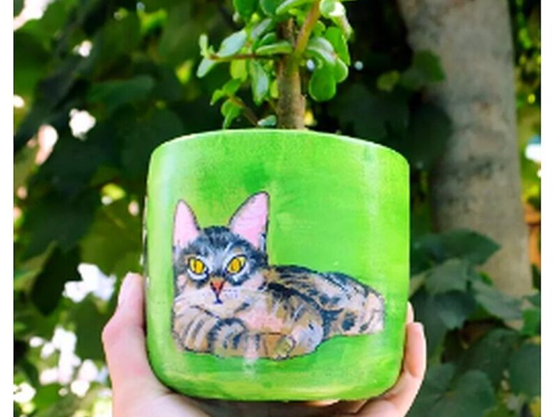Maceta Gato Perú
