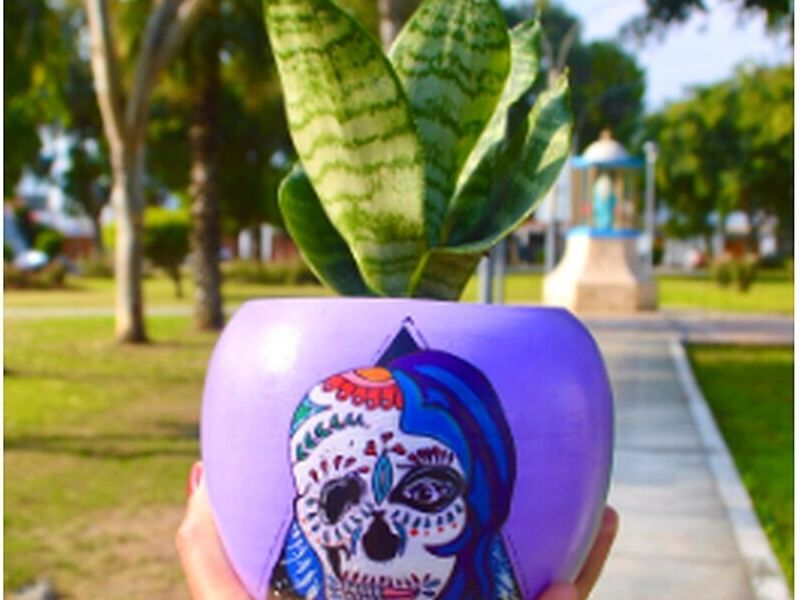 Maceta Calavera Perú