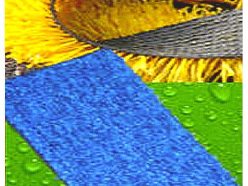 Grass decorativo
