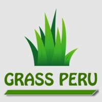 Lima Grass