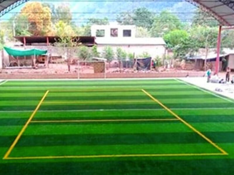 Grass deportivo