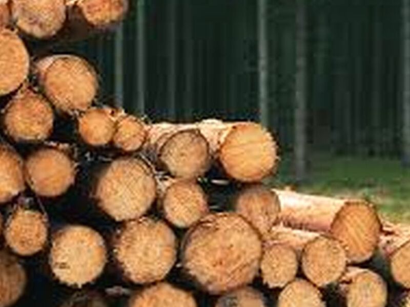 Madera tronco Perú