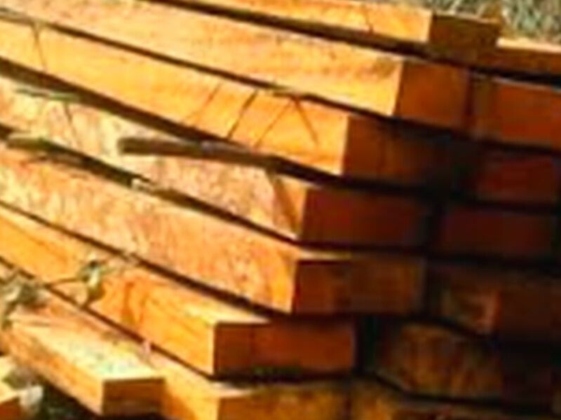 Madera mohena Perú