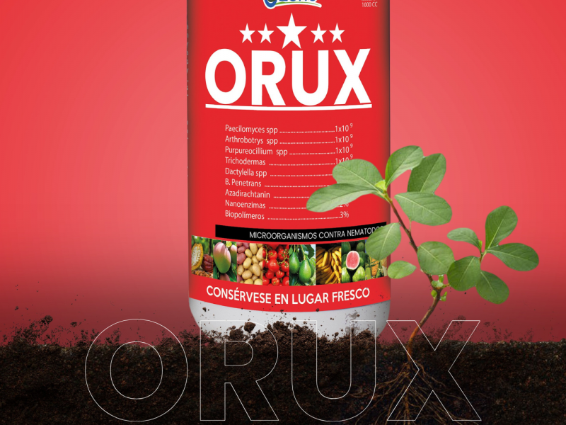 Orux Chile