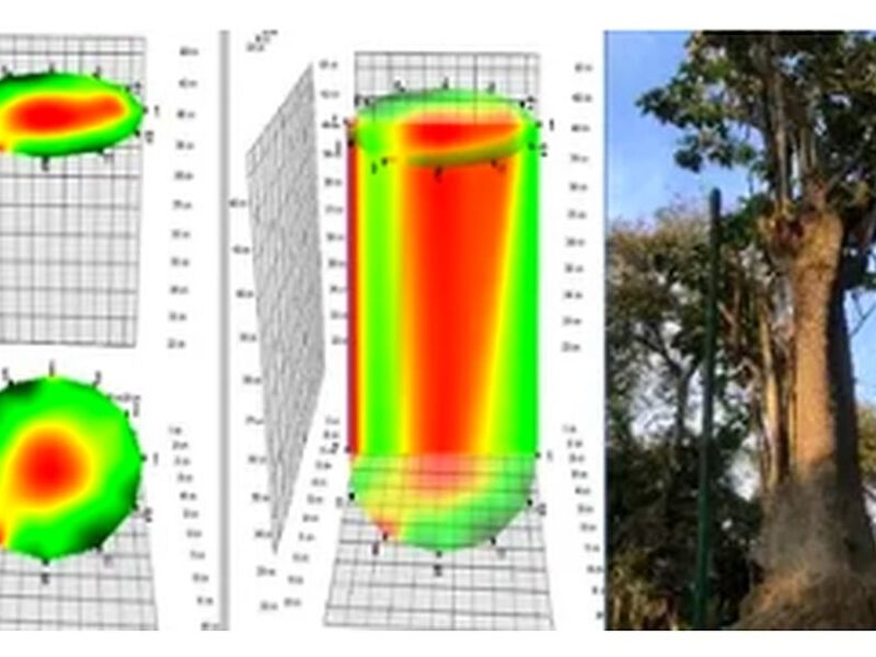 Evaluación de riesgo en árboles Perú