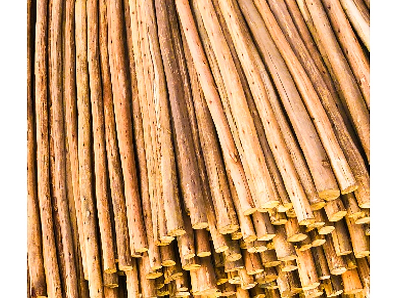 Madera Construcción Eucalipto Perú