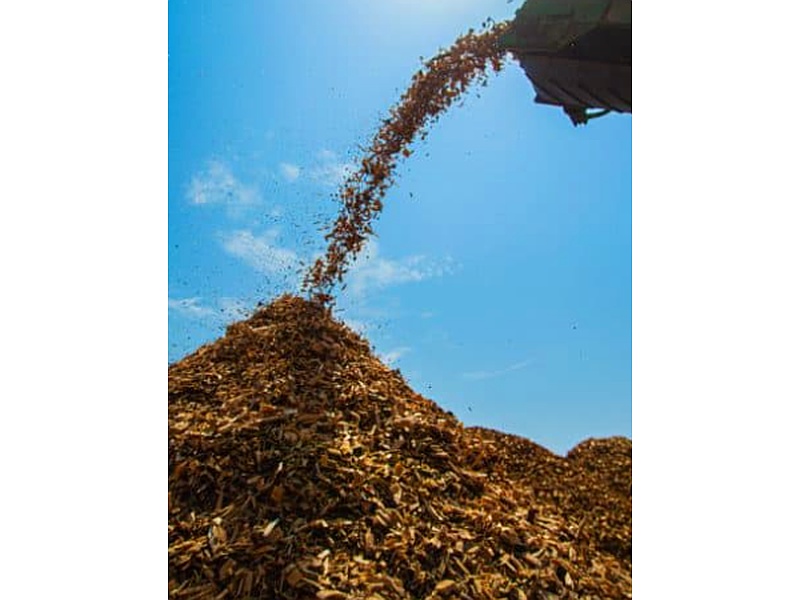 Madera Mulch Perú