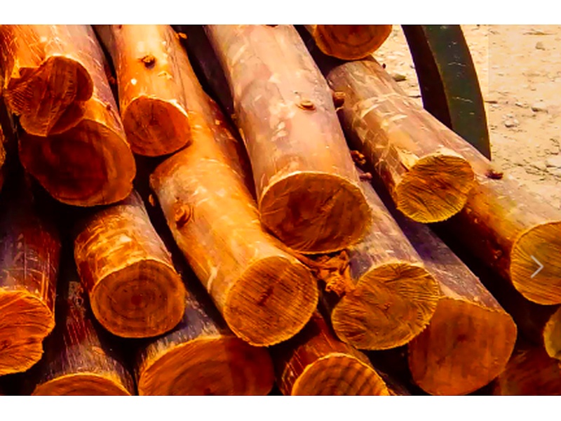Madera Construcción Perú