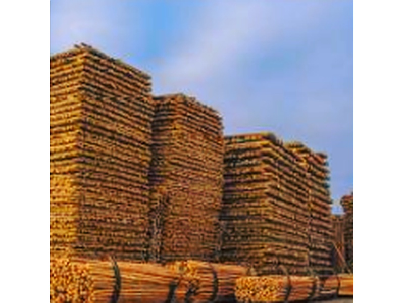 Productos Forestales Construcción Perú