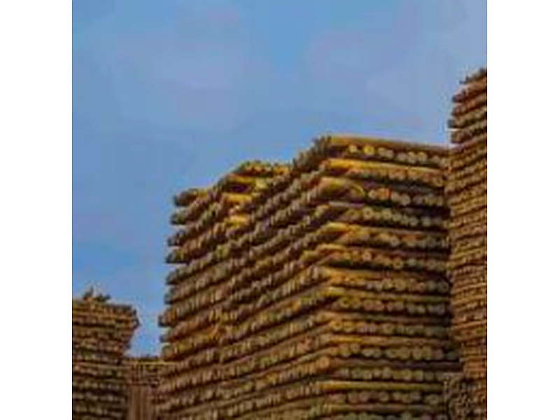 Madera Construcción Trujillo