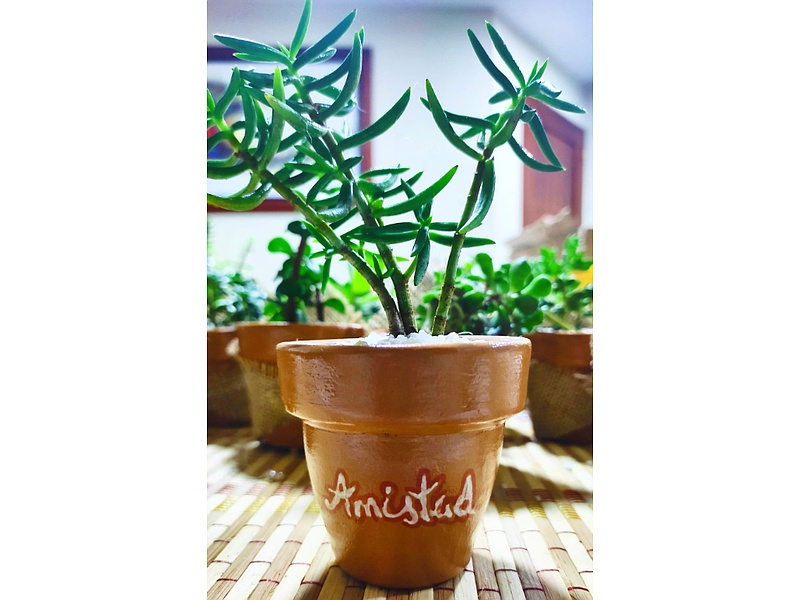 Maceta Decorativa Perú 