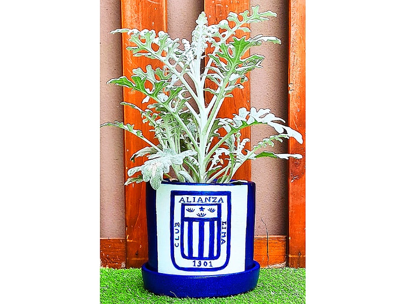 Maceta Club Alianza Lima Perú 