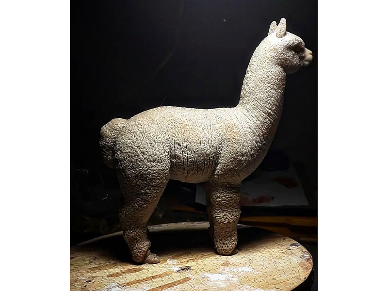 Vicuña Perú