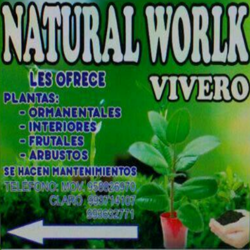 Natural World ANYA - Botines con plataforma - castaño/marrón claro