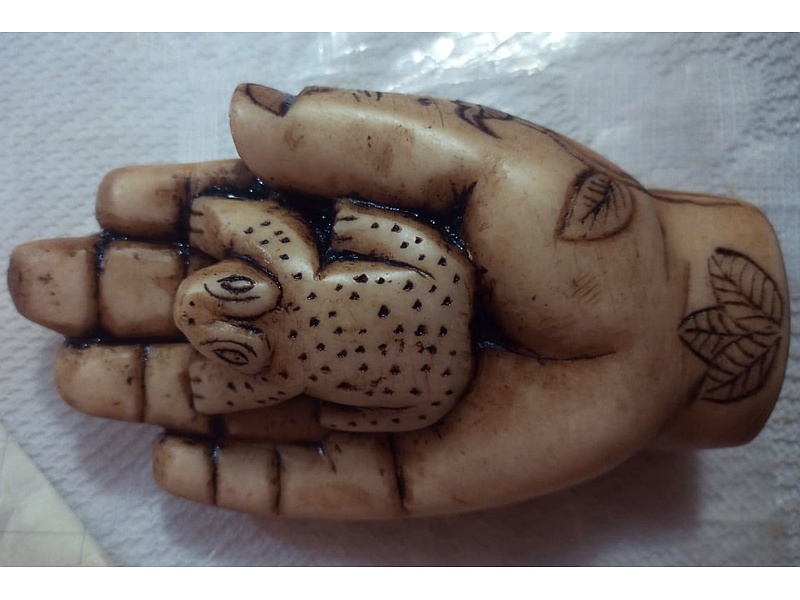 Mano Sostiene Rana Perú