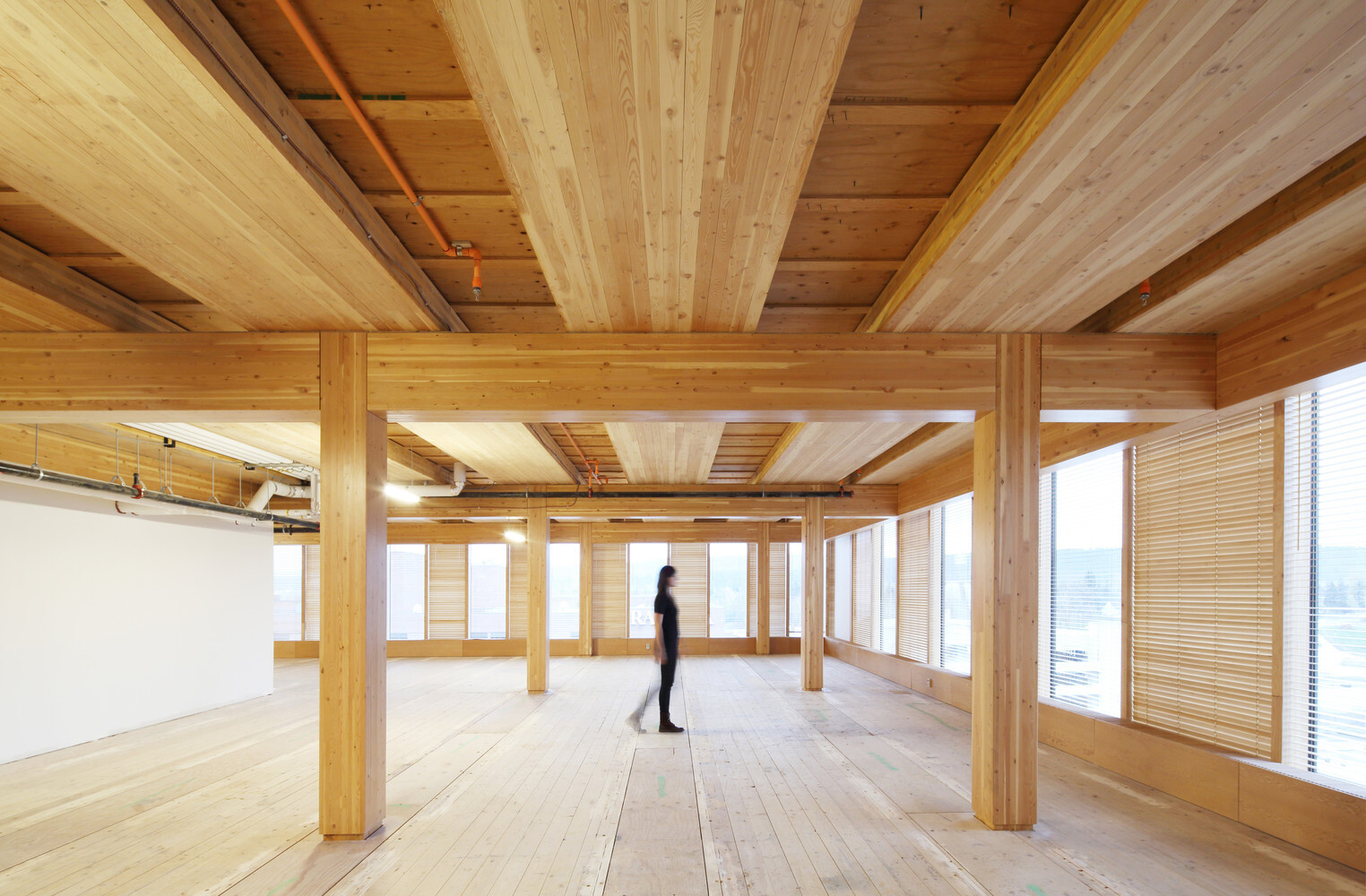 Columnas de madera