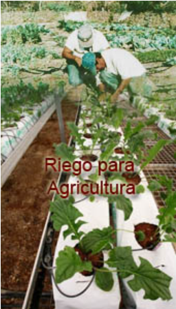 Riego por Goteo  Arequipa