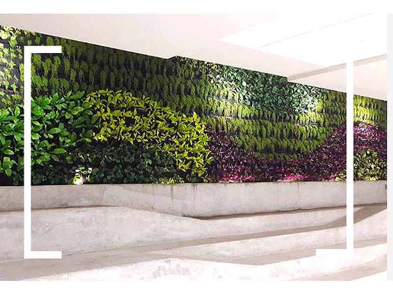 Jardin Vertical Peru