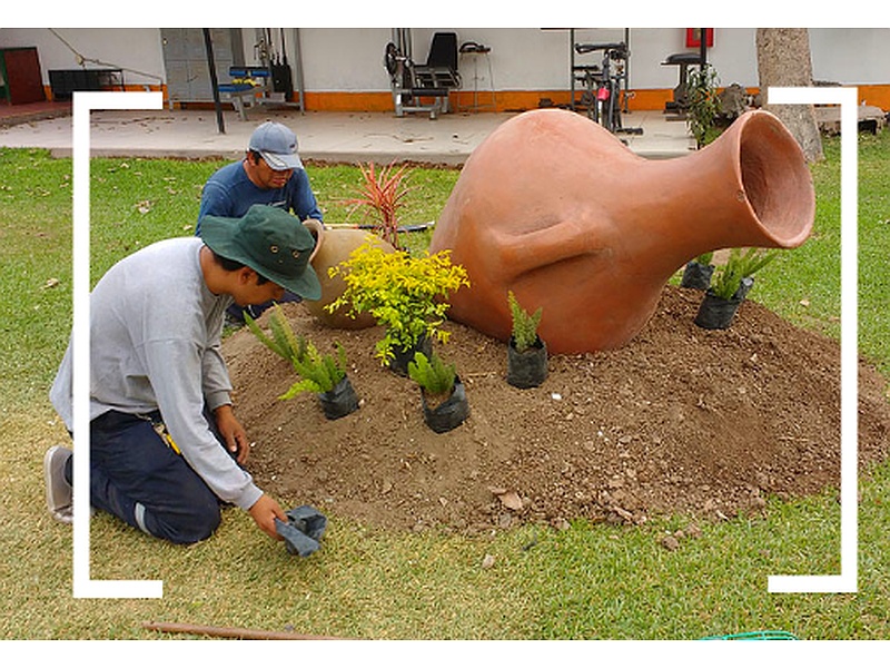Mantenimiento de Jardines Peru