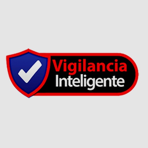 VIGILANCIA INTELIGENTE