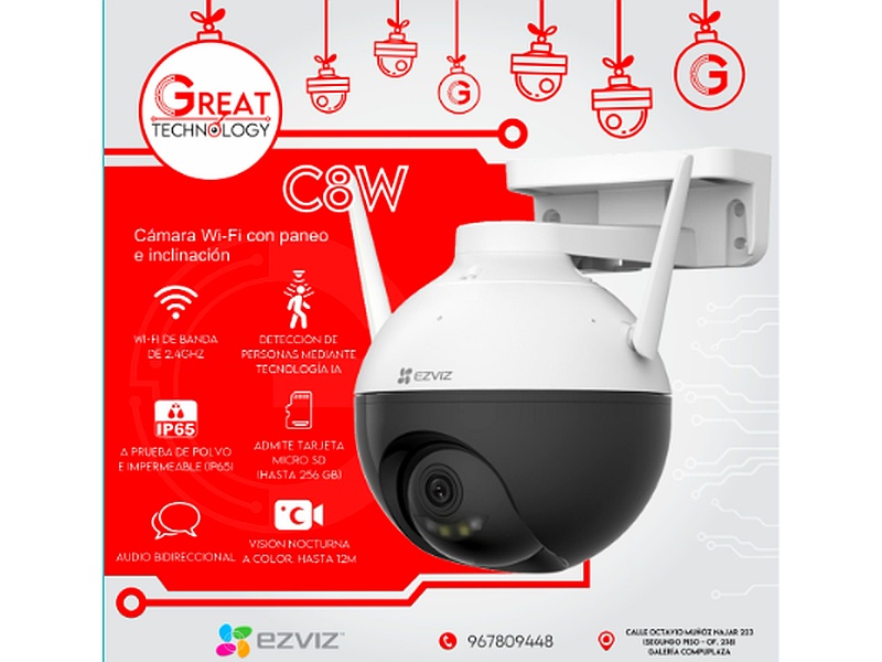 Cámara de seguridad C8W Tacna Perú