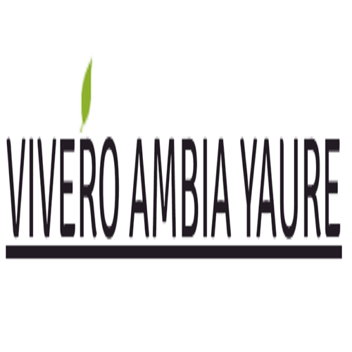 VIVERO AMBIA YAURE Peru